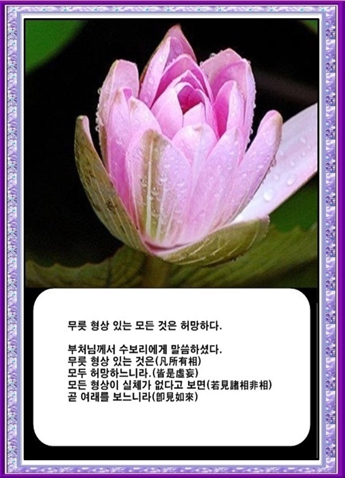 [오늘의 부처님 말씀] - 무릇 3