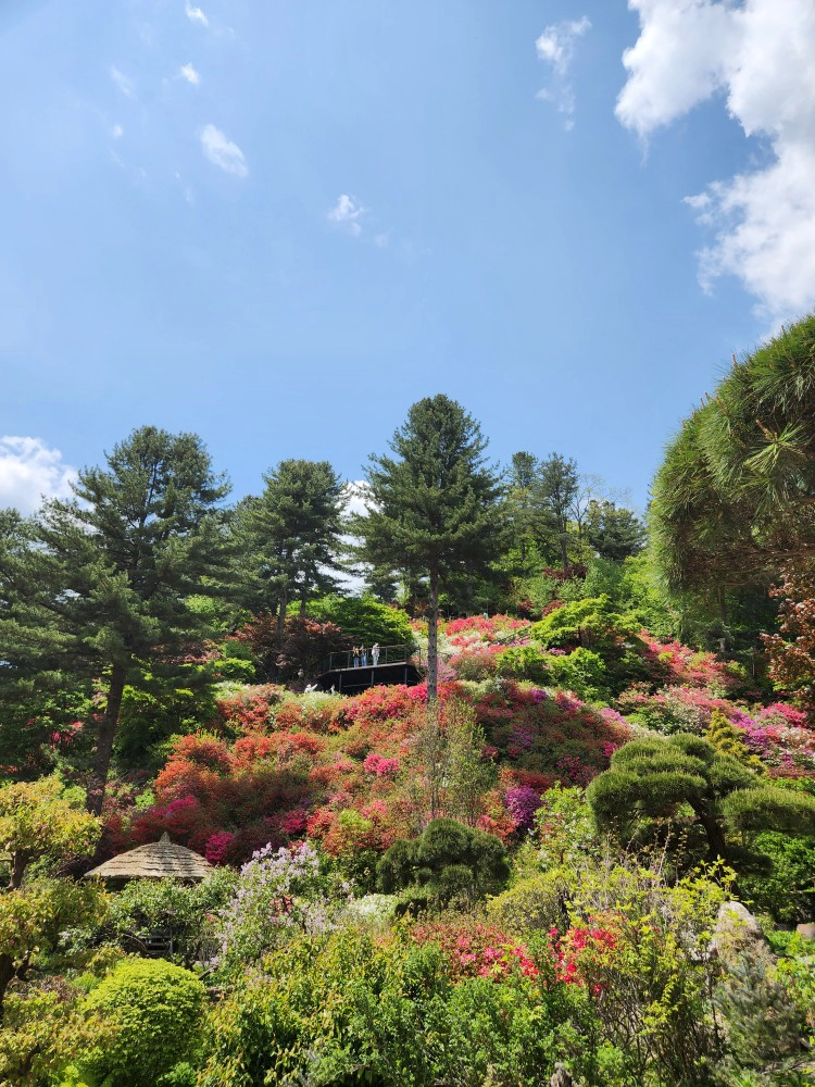 풍경2