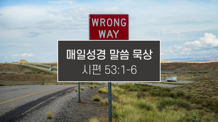 썸네일-Wrong-way-표지판