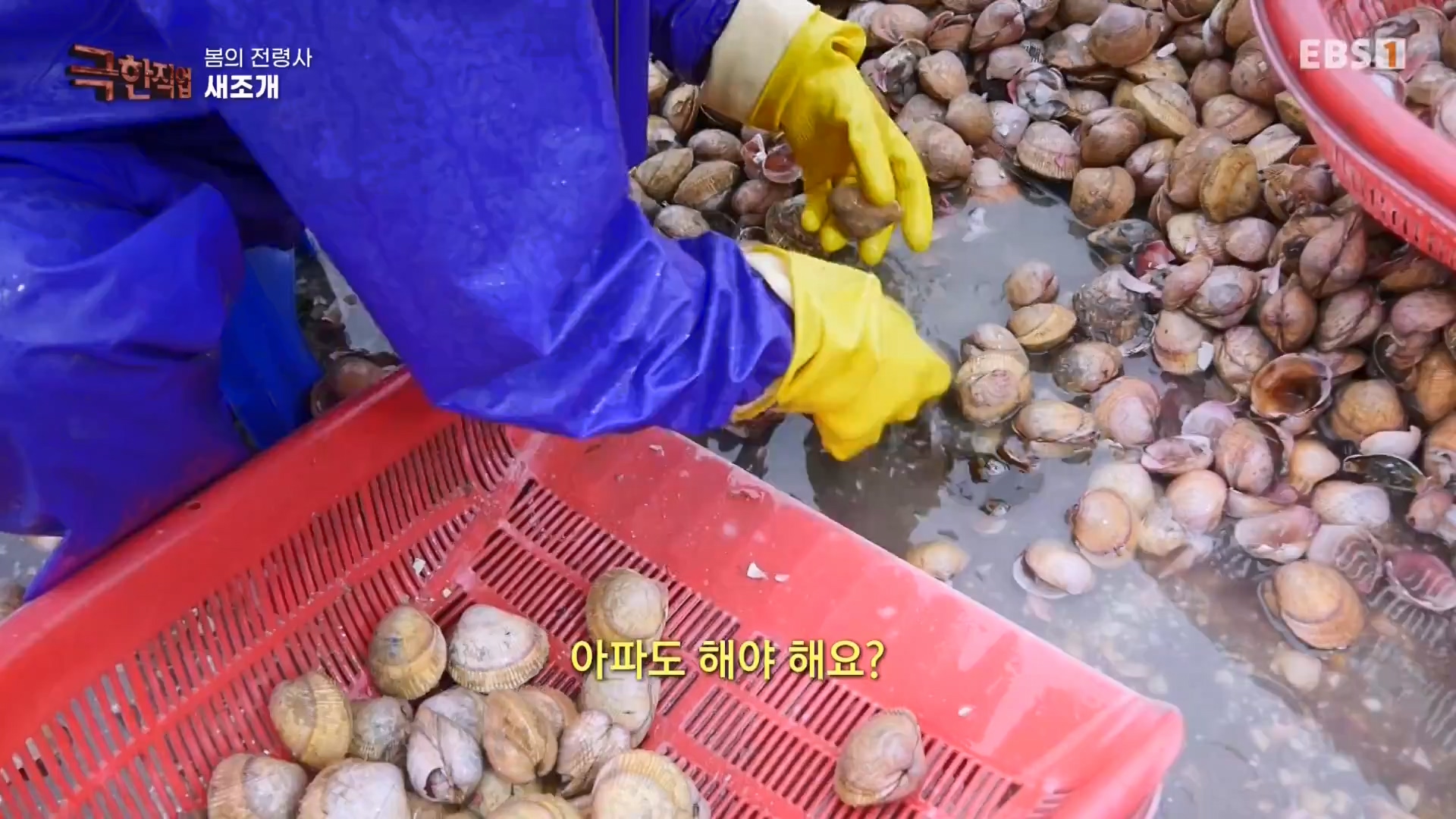 극한직업.E797.240309p.H264-N.mkv_20240310_172721.344.jpg