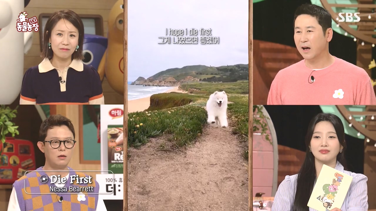 TV 동물농장.E1135.230828p-NEXT.mp4_20230827_180802.908.jpg