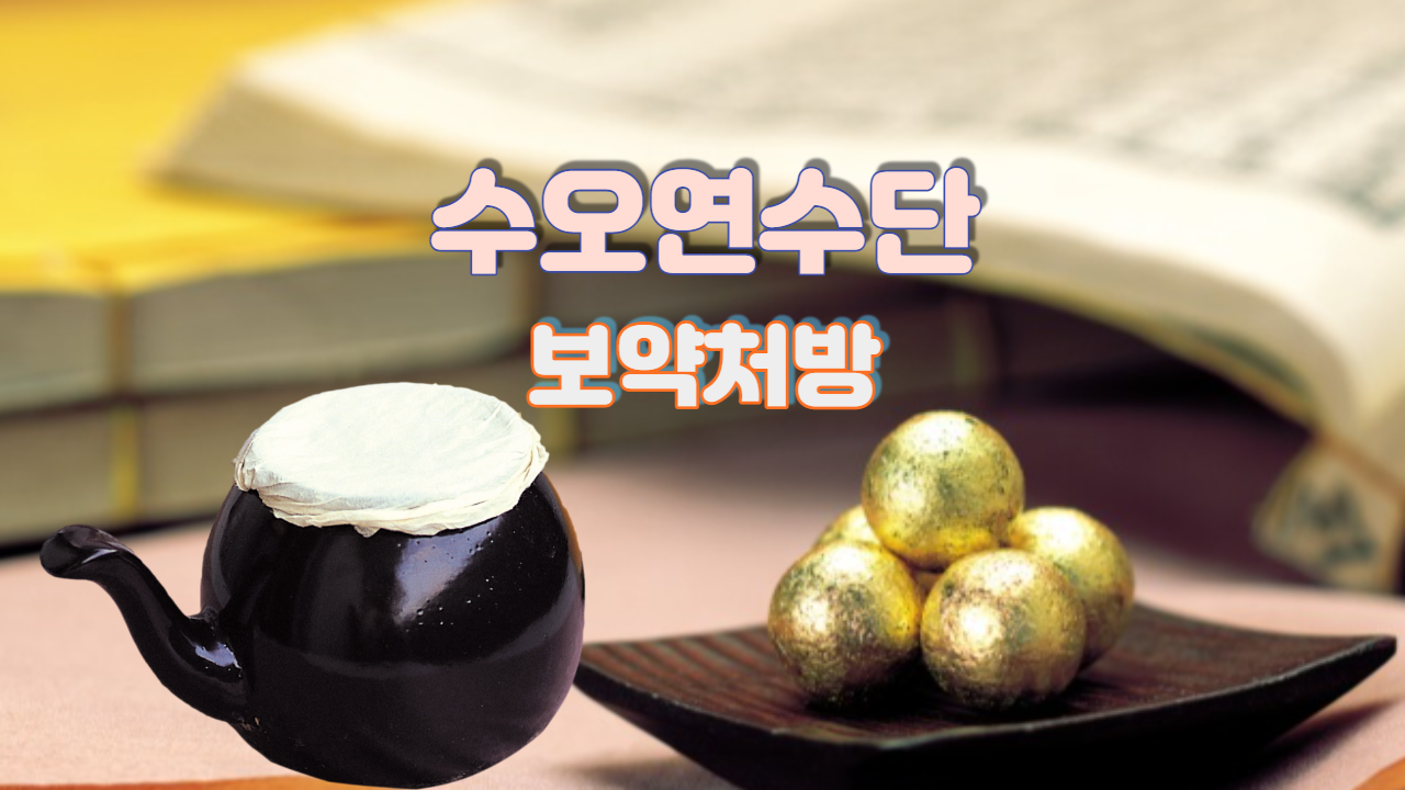  수오연수단 (보약처방)