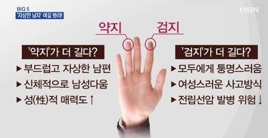 다섯손가락 이미지