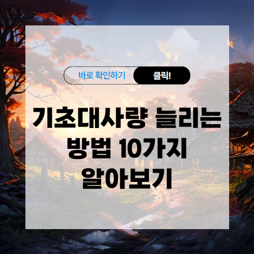 기초대사량 늘리는 방법 10가지 알아보기
