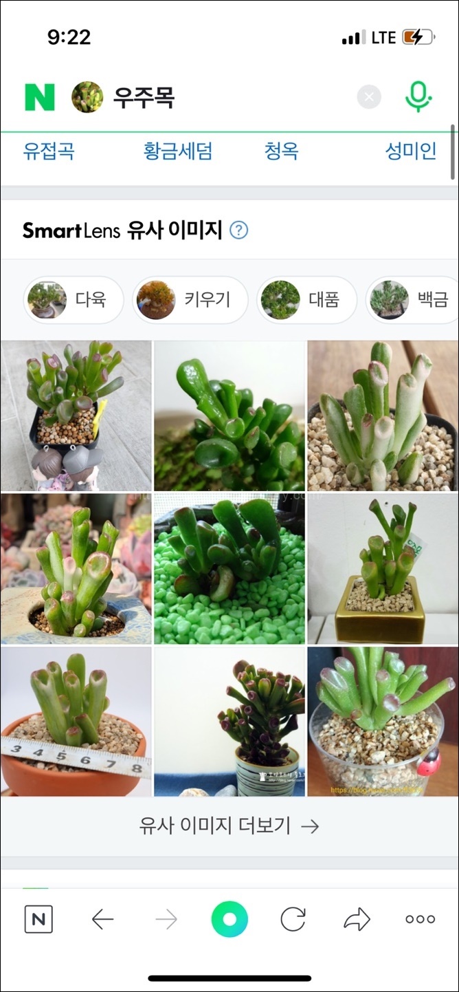 모바일 네이버 스마트 렌즈