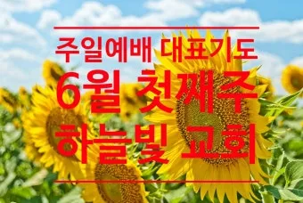 6월 넷째주 주일 대표 기도문 모음_10