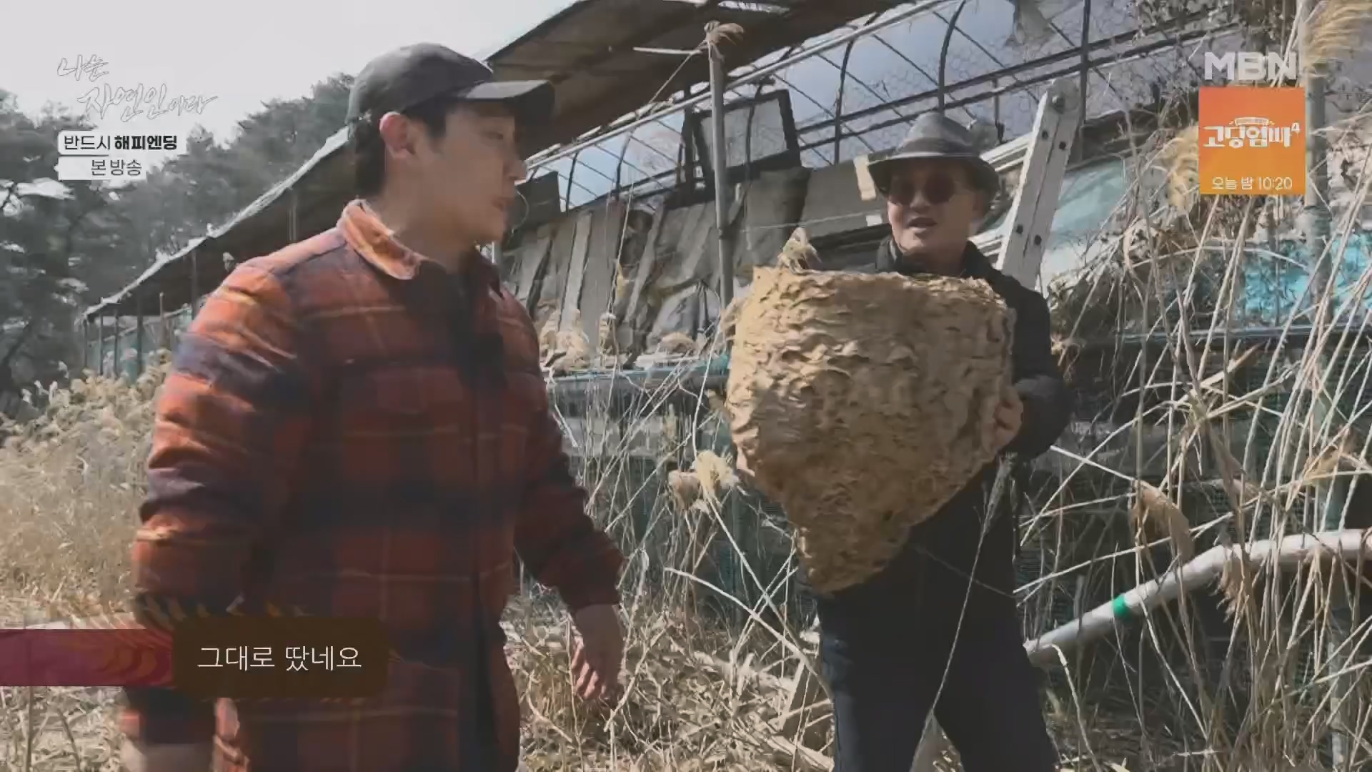 나는 자연인이다.E600.240403p.H264-F1RST.mp4_20240404_191348.477.jpg