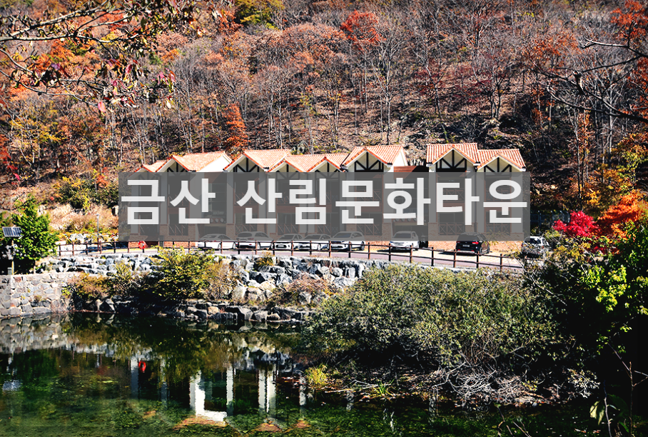  금산 산림문화타운 : 중부권 최고의 생태 종합 휴향단지