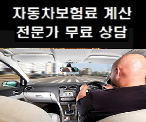  자동차책임보험조회 자차보험가격 합리적으로...