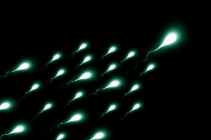 Rising Male Infertility: Healthy Sperm Management Tips for Future Generations.