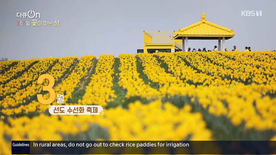 다큐 On.E201.230610p.H264-F1RST.mp4_20230611_165939.397.jpg