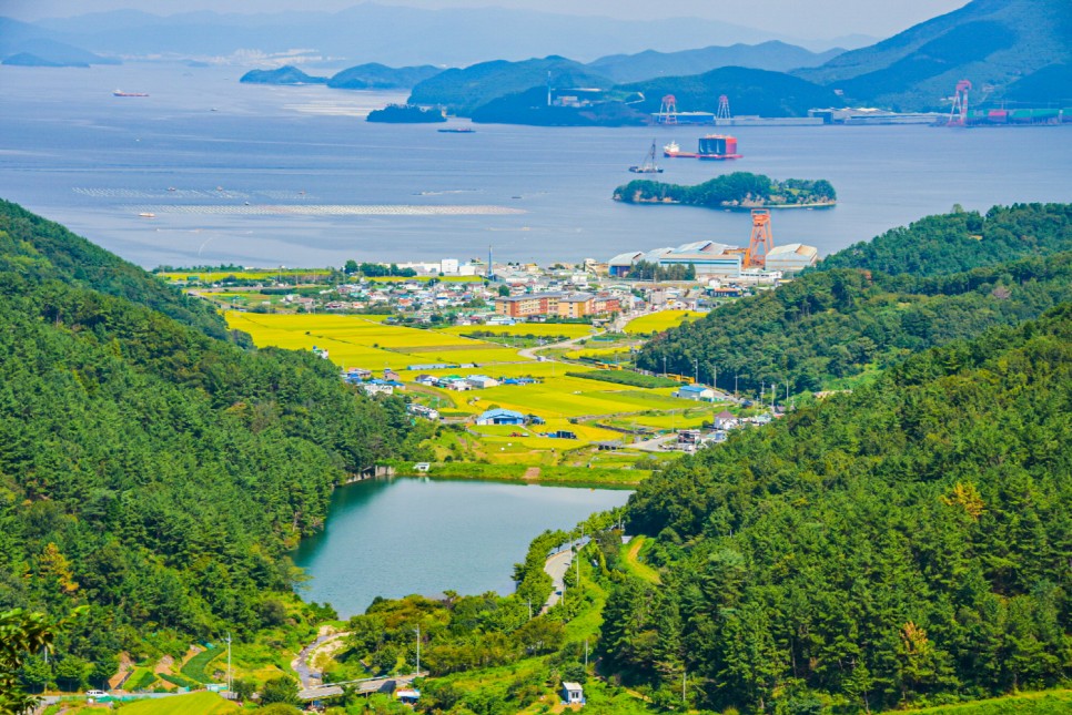 거제 오수마을 갈대밭 가을이 찾아온 2