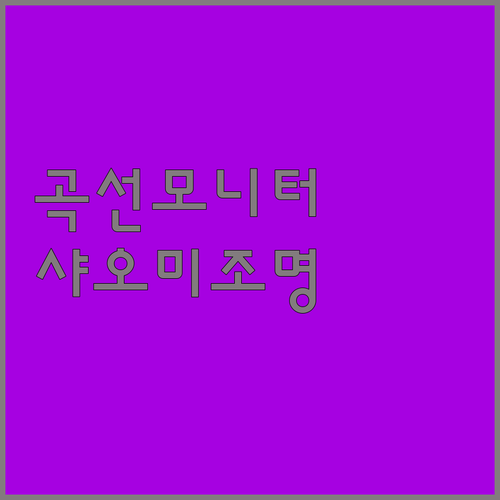 곡선 모니터 사용자 주목 샤오미 US