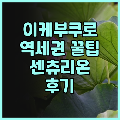 센츄리온 호텔 이케부쿠로 스테이션 후