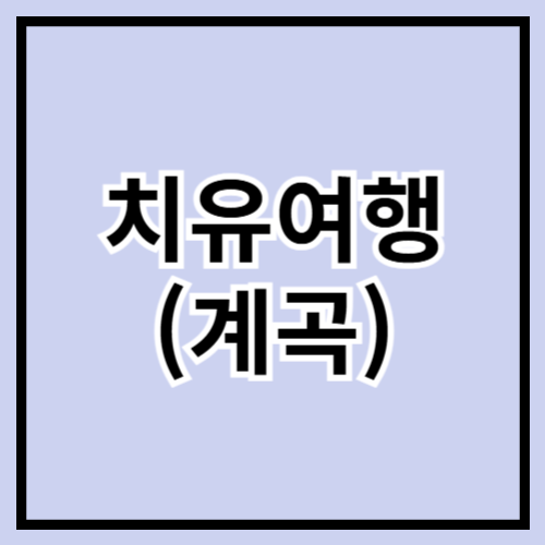 🌿 2025년 치유여행 추천: 계곡으로 떠나는 여름 힐링로드 💧🧘‍♀️