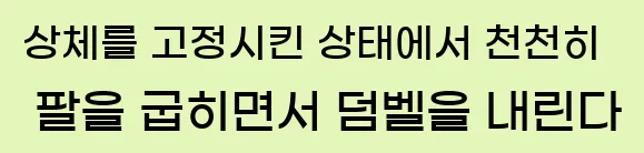  2. 상체를 고정시킨 상태에서, 천천히 팔을 굽히면서 덤벨을 내린다.