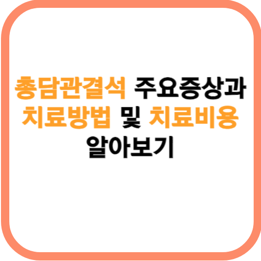 총담관결석 주요증상