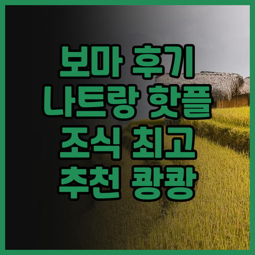 보마 리조트 나트랑 후기 조식부터 핫