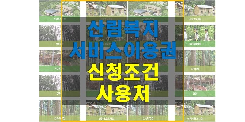  산림복지 바우처(산림복지서비스 이용권) 지원금액과 신청 기간, 조건, 신청 방법 그리고 사용처에 대해 알아보자!