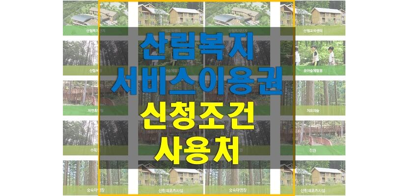 2022년-산림복지-바우처-신청-조건과-기간-사용처-썸네일