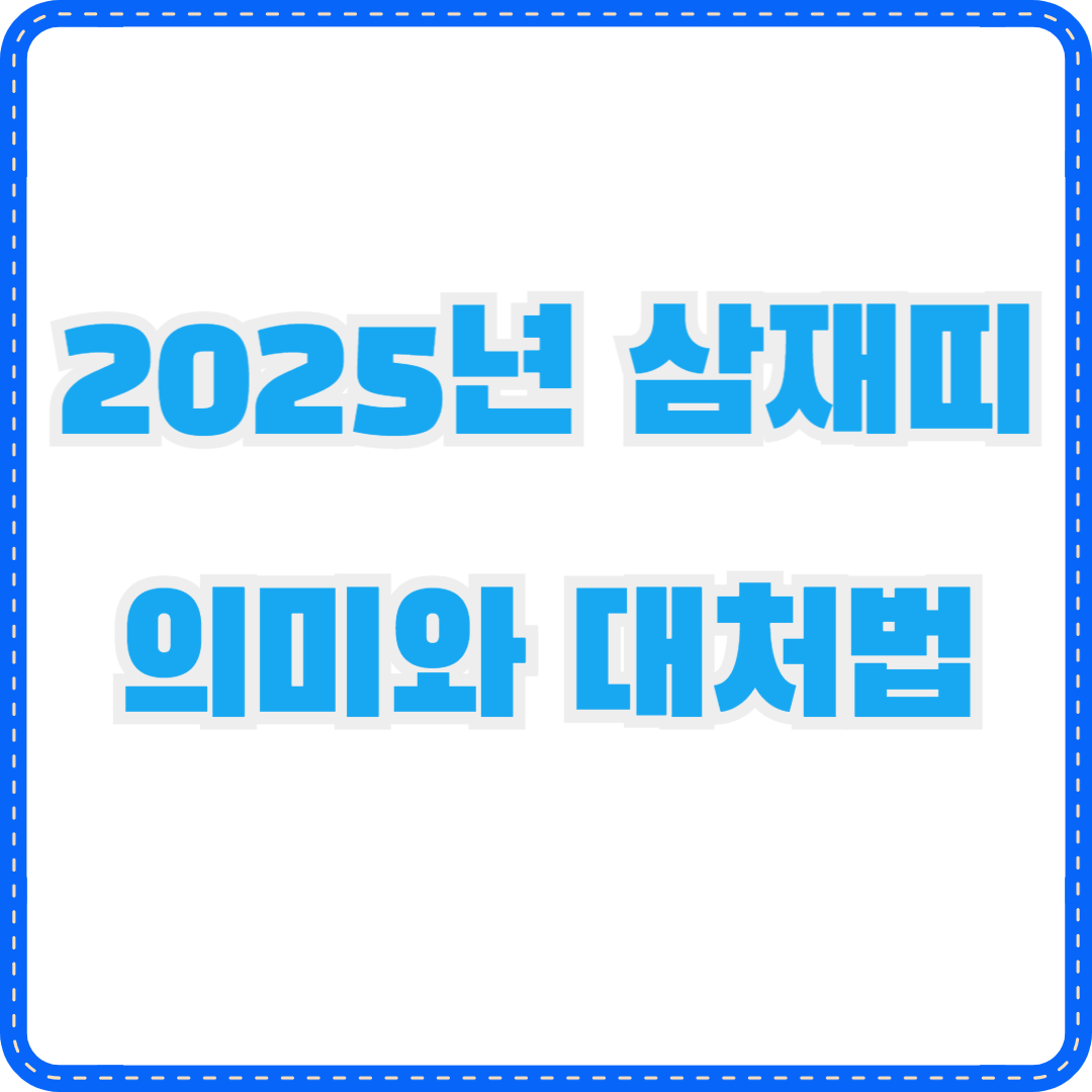 2025년 삼재띠