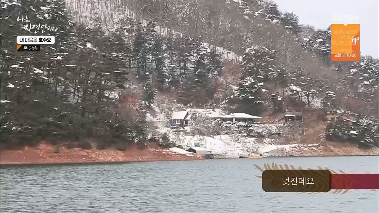 나는 자연인이다.E540.230209p.H264-F1RST.mp4_20230209_203720.040.jpg