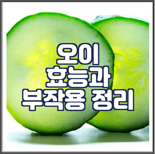  오이 효능과 부작용 정리