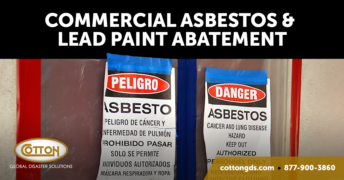 석면 및 납 페인트 검사 Asbestos and Lead Paint Testing