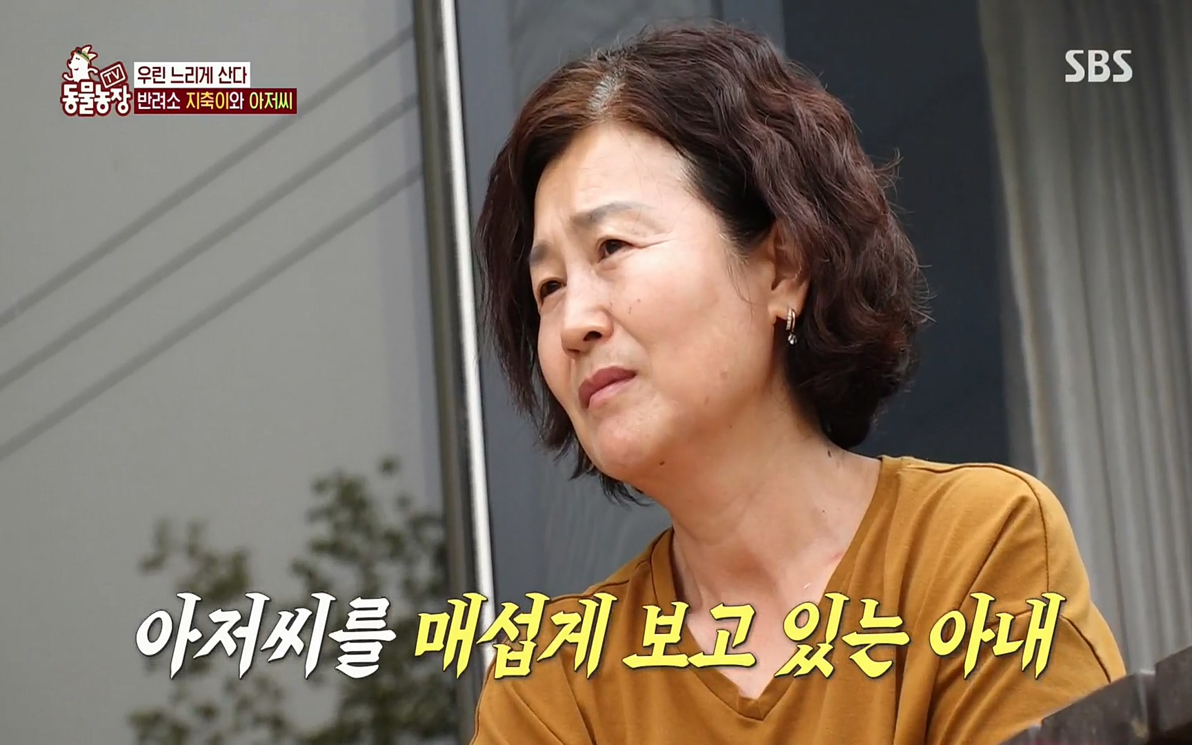TV 동물농장.E1074.220619p.H264-F1RST.mp4_20220619_181346.041.jpg