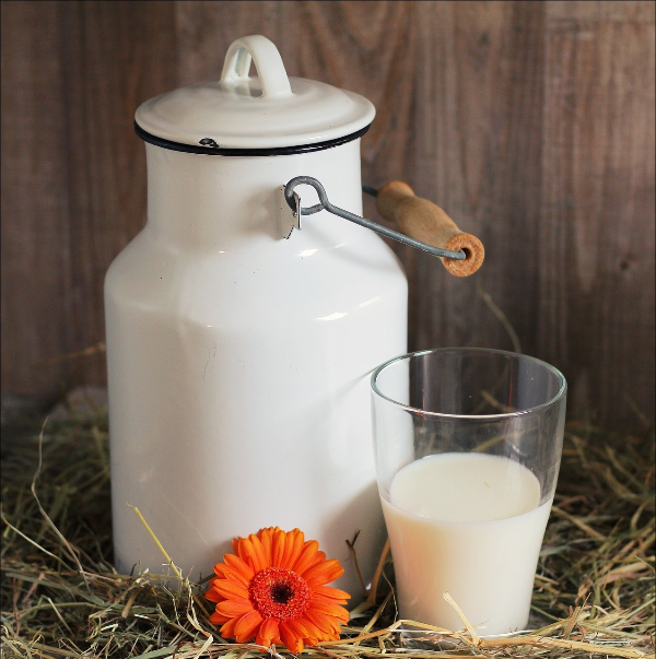 우유 효능 유기농우유 저지방우유