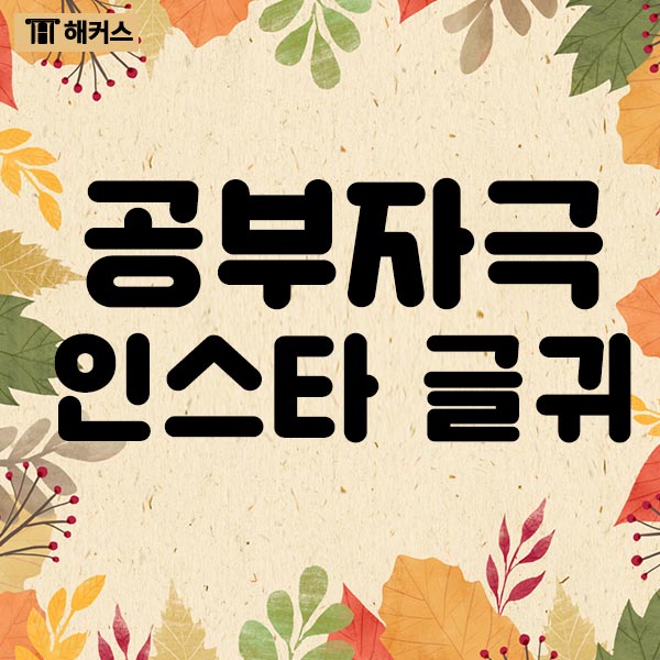  인스타 영어 글귀 추천! 공부 자극을 위한 영어 글귀!