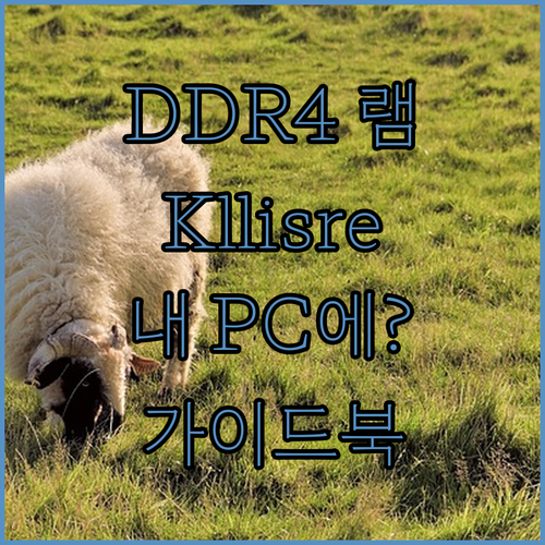 DDR4 RAM 구매 가이드 Klli