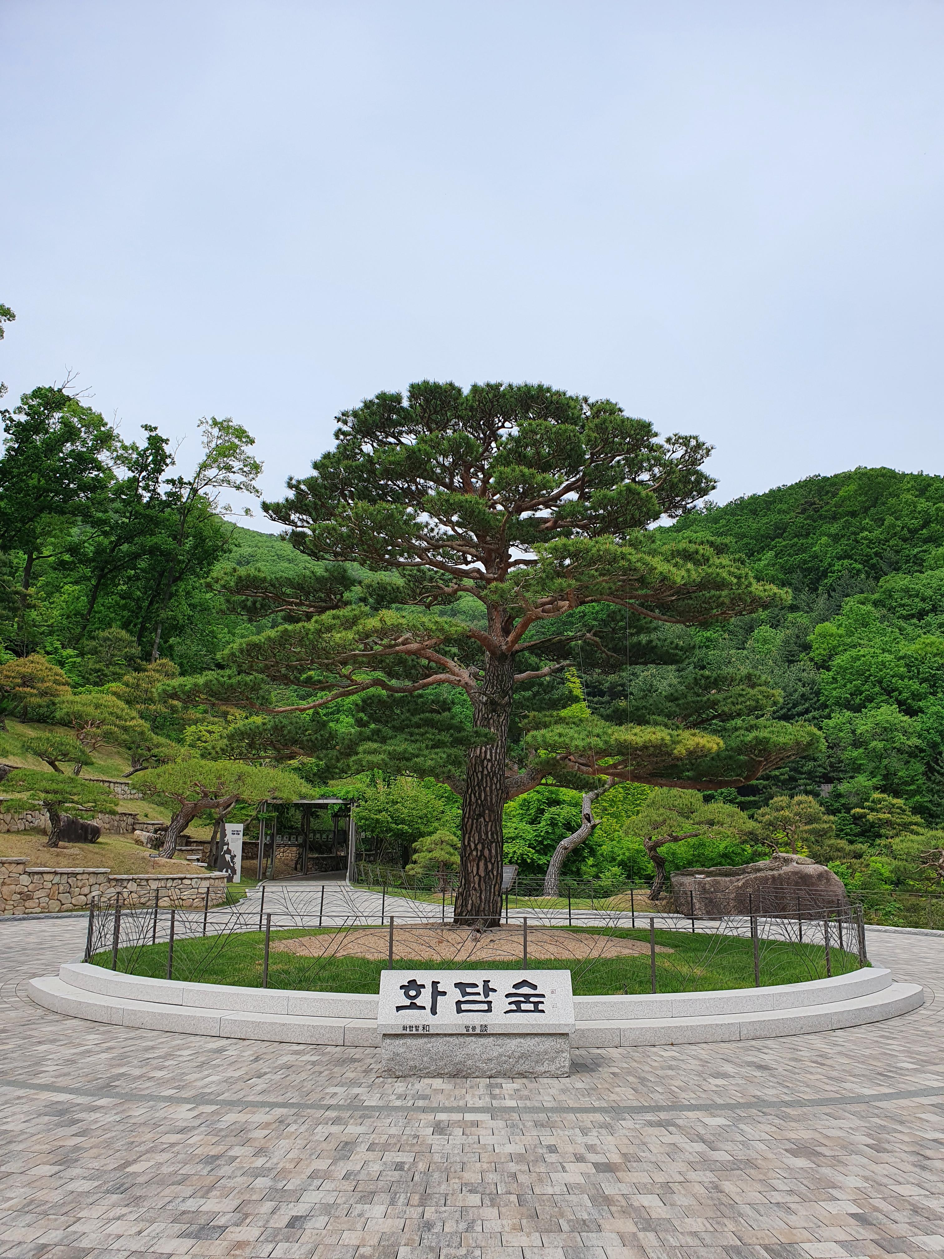  걷기좋은 단풍명소 곤지암 화담숲 입장료 및  카페