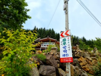 보양 밥상