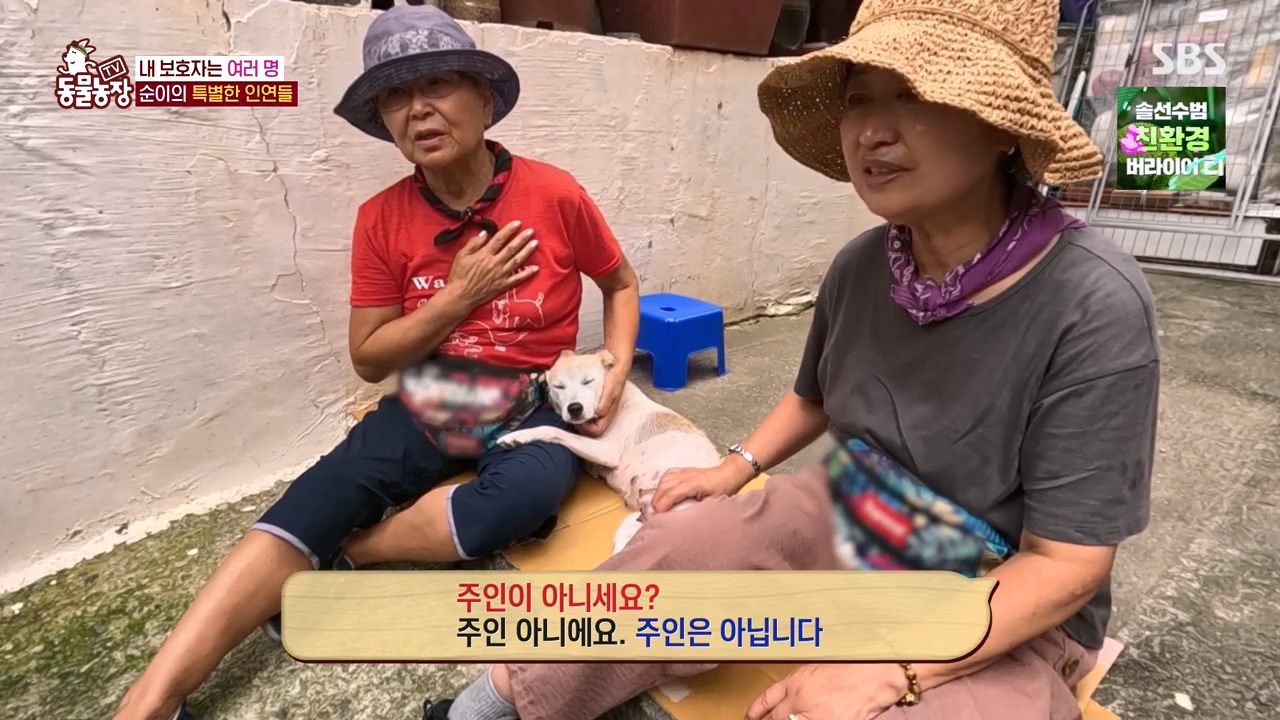 TV 동물농장.E1143.231030p-NEXT.mp4_20231029_162030.899.jpg