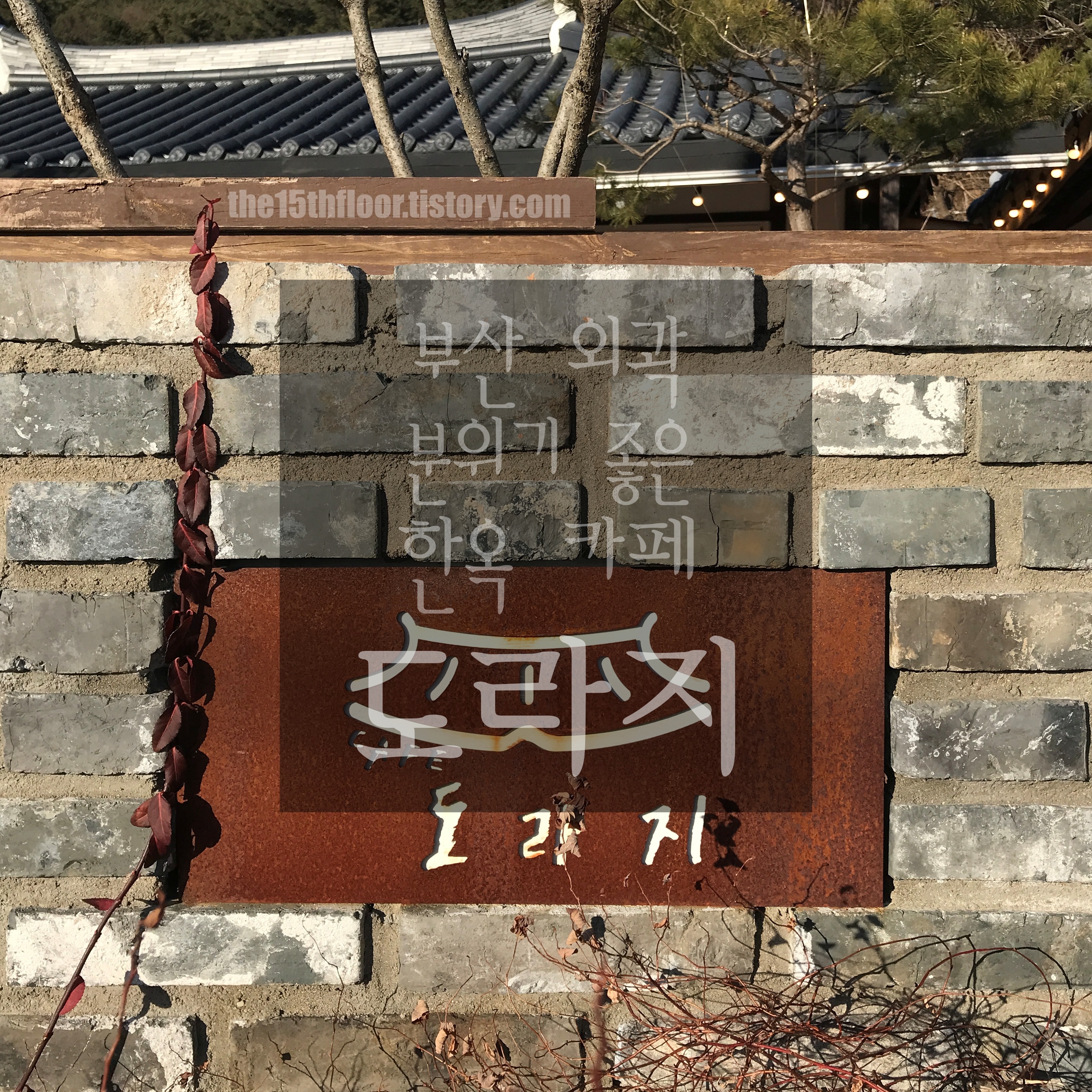  [경남 양산 '도라지'] 부모님 모시고 부산 외곽 드라이브로 가기 좋은 카페