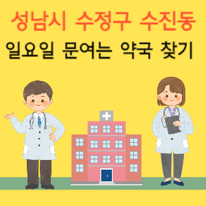 성남시 수정구 수진동 일요일 문여는 약국 찾기