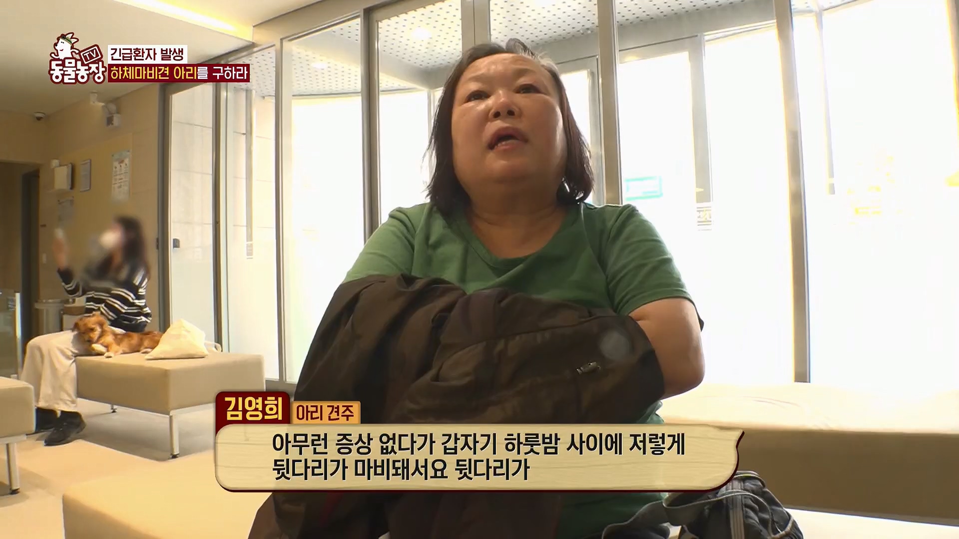 TV 동물농장.E1123.230604p.H264-F1RST.mp4_20230604_173306.371.jpg