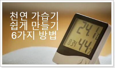  천연가습기 쉽게 만들기 6가지 방법