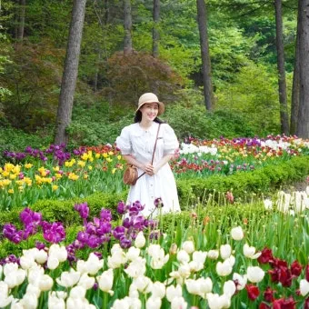2025 봄꽃페스타 아침고요수목원에서 만나는 봄의 향연 완벽 체험기_25