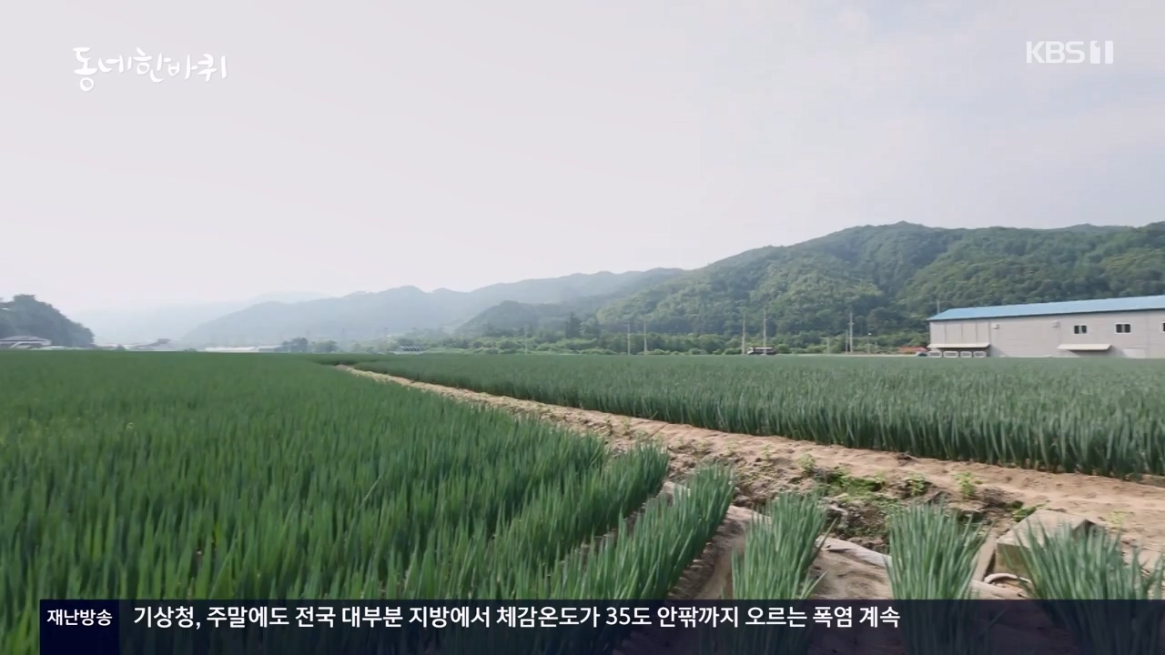 동네 한 바퀴.E234.230806p-NEXT.mp4_20230810_211358.912.jpg