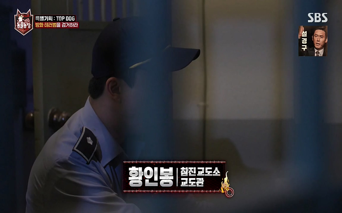 TV 동물농장.E1085.220905p-NEXT.mp4_20220904_173559.118.jpg