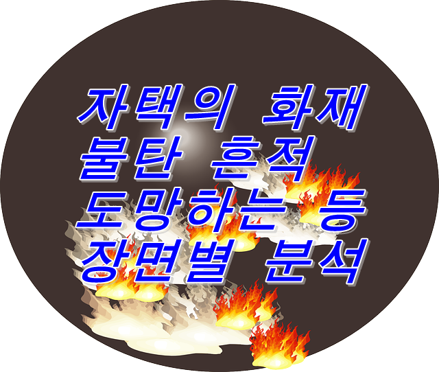 자택의 화재·불탄 흔적·도망하는 등 장면별 분석