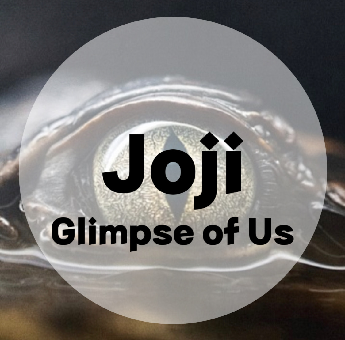  : Joji : Glimpse of Us  (가사/듣기/MV Official Video)