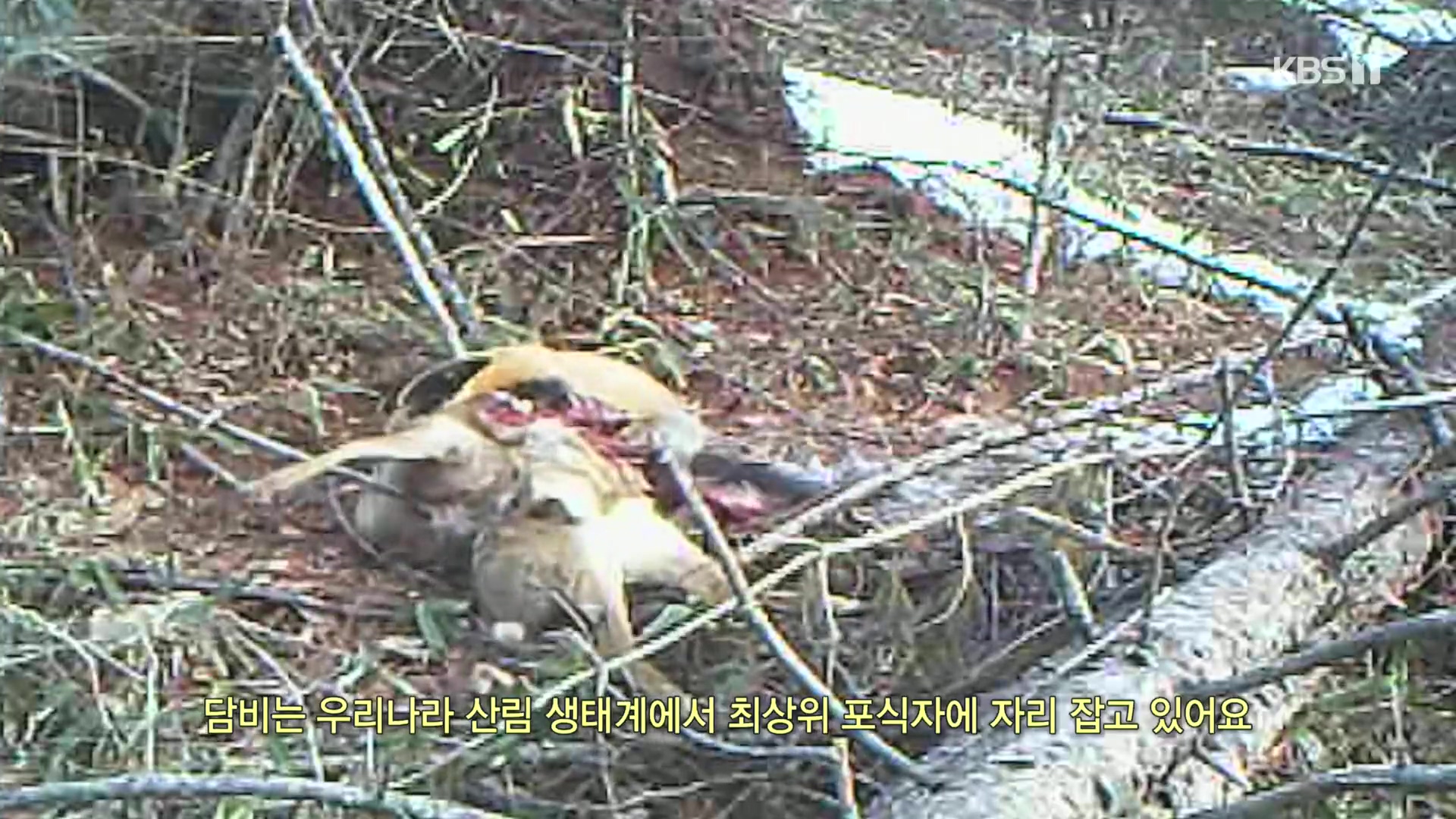 다큐 인사이트.E176.231214p.H264-F1RST.mp4_20231215_203144.277.jpg