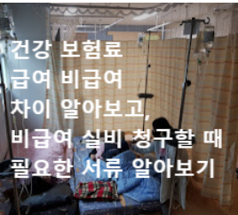  건강 보험료 급여 비급여 차이 알아보고 비급여 실비 청구할 때 필요한 서류 알아보기