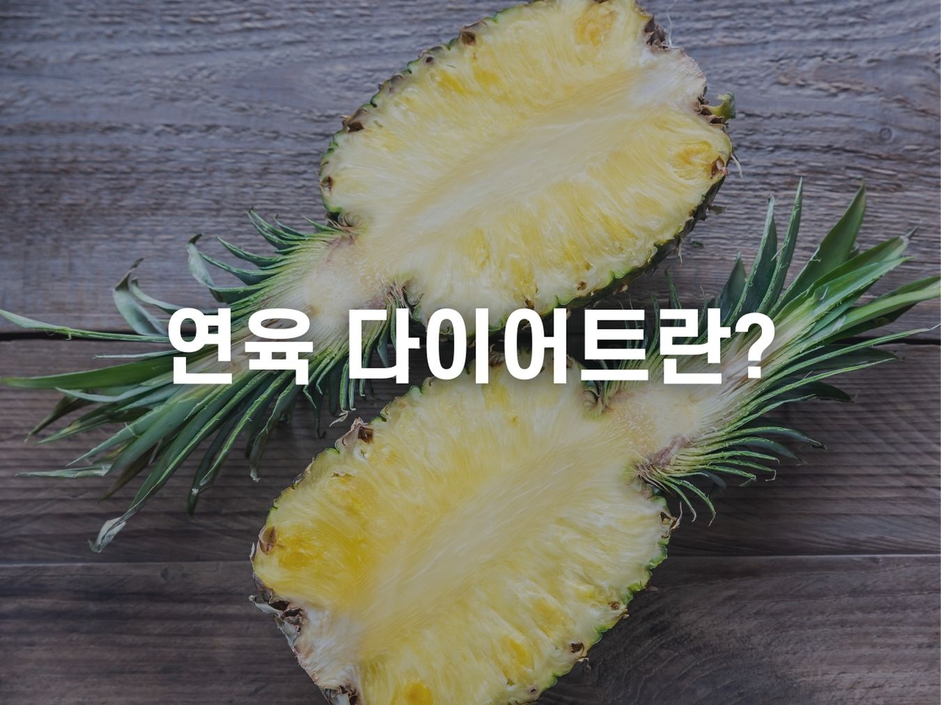 연육 다이어트란 무엇인가요