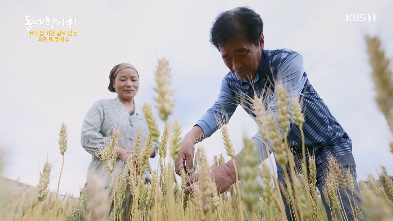 동네 한 바퀴.E279.240623p-NEXT.mp4_20240623_170454.638.jpg