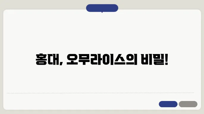 생활의 달인 마포구 홍대 오무라이스의 달인 가게 정보, 일식 오믈렛 달인