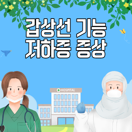 갑상선 기능 저하증 증상 (원인과 초기증상&#44; 좋은 음식)